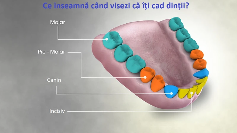 Definirea Visului De Cădere