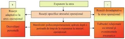 Metode De Reducere A Stresului Și Anxietății Înainte De Examen