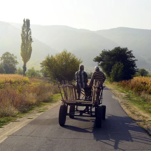 Visul De A Călători În Timp